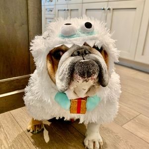 Meet your Posher, Kathleen